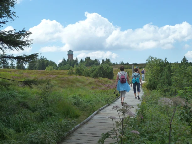 Auf dem Grindenpfad copyright Tourist-Info. Seebach