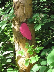 Verena Wippenbeck sculptures for the forest Vol 2 2022