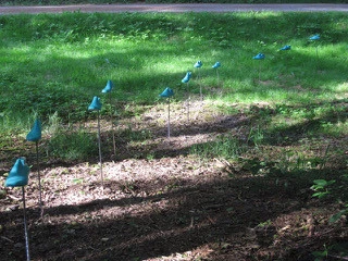 Anja Michaela Kretz quo vadis 2022