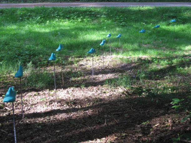 Anja Michaela Kretz quo vadis 2022