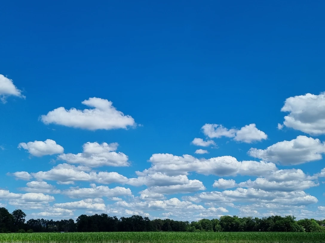Naturschutzgebiet Kipshagener Teiche in Schloß Holte-Stukenbrock Naturschutzgebiet Kipshagener Teiche in Schloß Holte-Stukenbrock