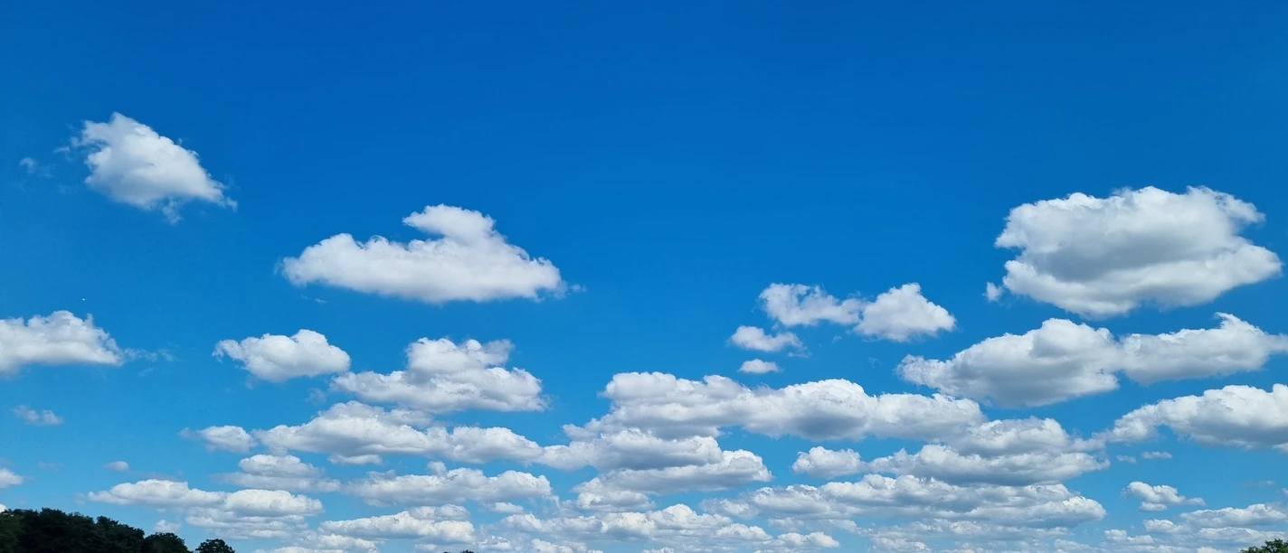Naturschutzgebiet Kipshagener Teiche in Schloß Holte-Stukenbrock Naturschutzgebiet Kipshagener Teiche in Schloß Holte-Stukenbrock