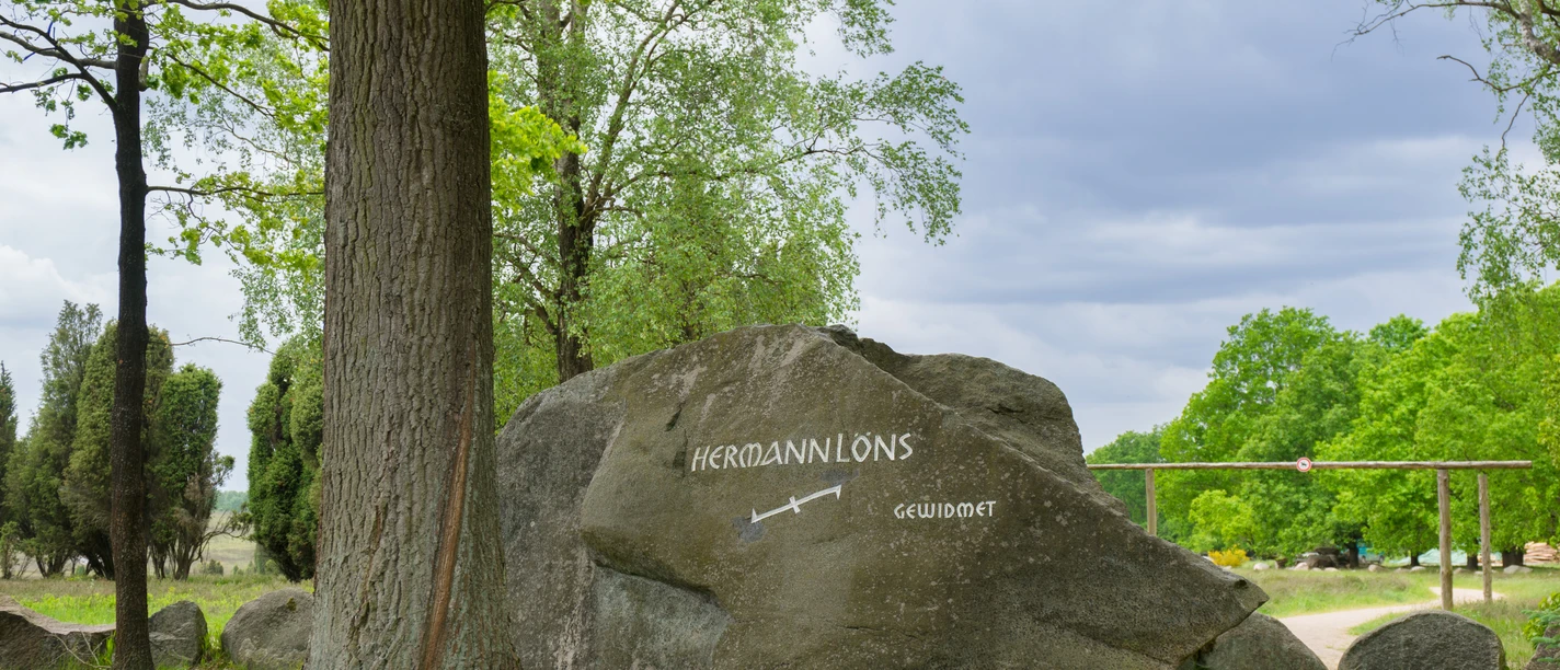 bispingen150603-04785.jpg