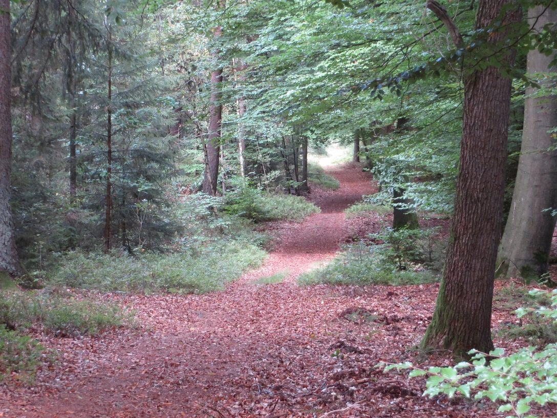 Wanderweg Volkwardingen Sellhorn (2).JPG