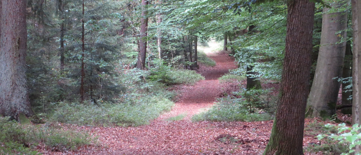 Wanderweg Volkwardingen Sellhorn (2).JPG