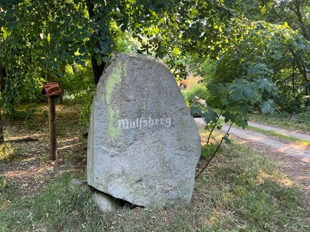 Findling am Wulfsberg Der Wulfsberg im autofreien Naturschutzgebiet Lüneburger Heide