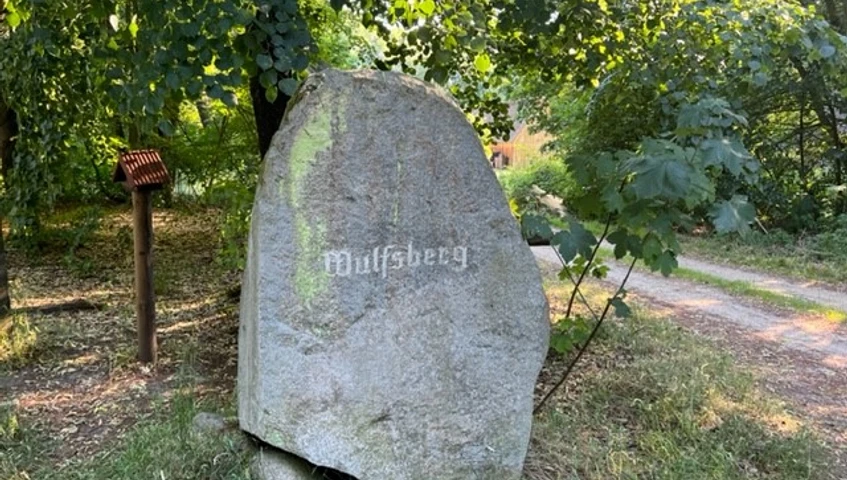 Findling am Wulfsberg Der Wulfsberg im autofreien Naturschutzgebiet Lüneburger Heide