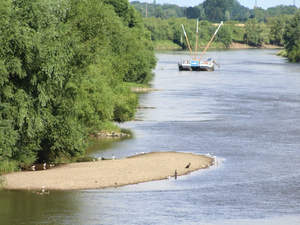 Historic Aalschokker on a calm river, surrounded by lush greenery and an island with birds.