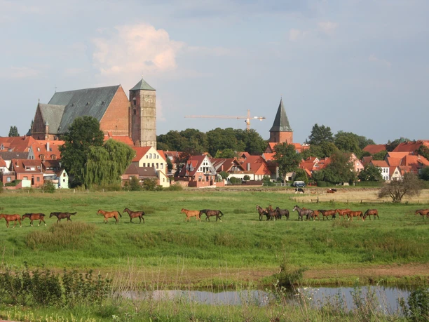 A vast green field with a herd of horses in the foreground; behind them, the city skyline of Verden in summer.