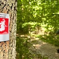 Ein Schild mit einer Hexe auf einem Besen kennzeichnet den grünen Waldweg im Patthorster Hexenpatt.