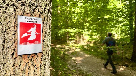 Patthorster Hexenpatt Ein Schild mit einer Hexe auf einem Besen kennzeichnet den grünen Waldweg im Patthorster Hexenpatt.