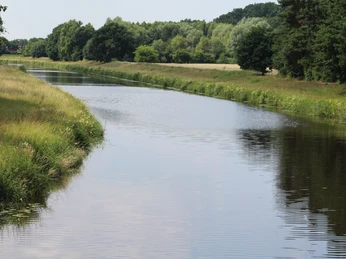 Große Aue Ein ruhiger Flusslauf durch eine grüne, von Bäumen gesäumte Landschaft unter heiterem Himmel.