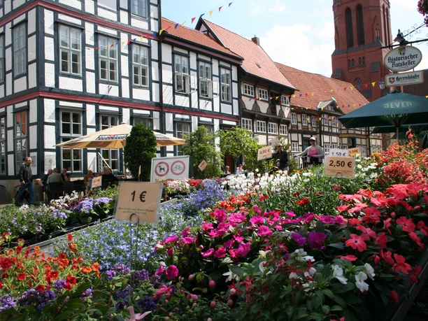 Wochenmarkt Nienburg Market stalls full of flowers with half-timbered houses in the background and people strolling through the market.