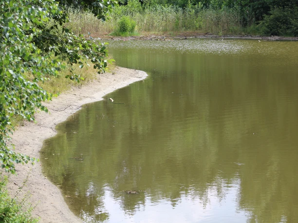 Ruhiger See mit bewaldetem Ufer, sanft geschwungene Sandlinie und spiegelndem Wasser.