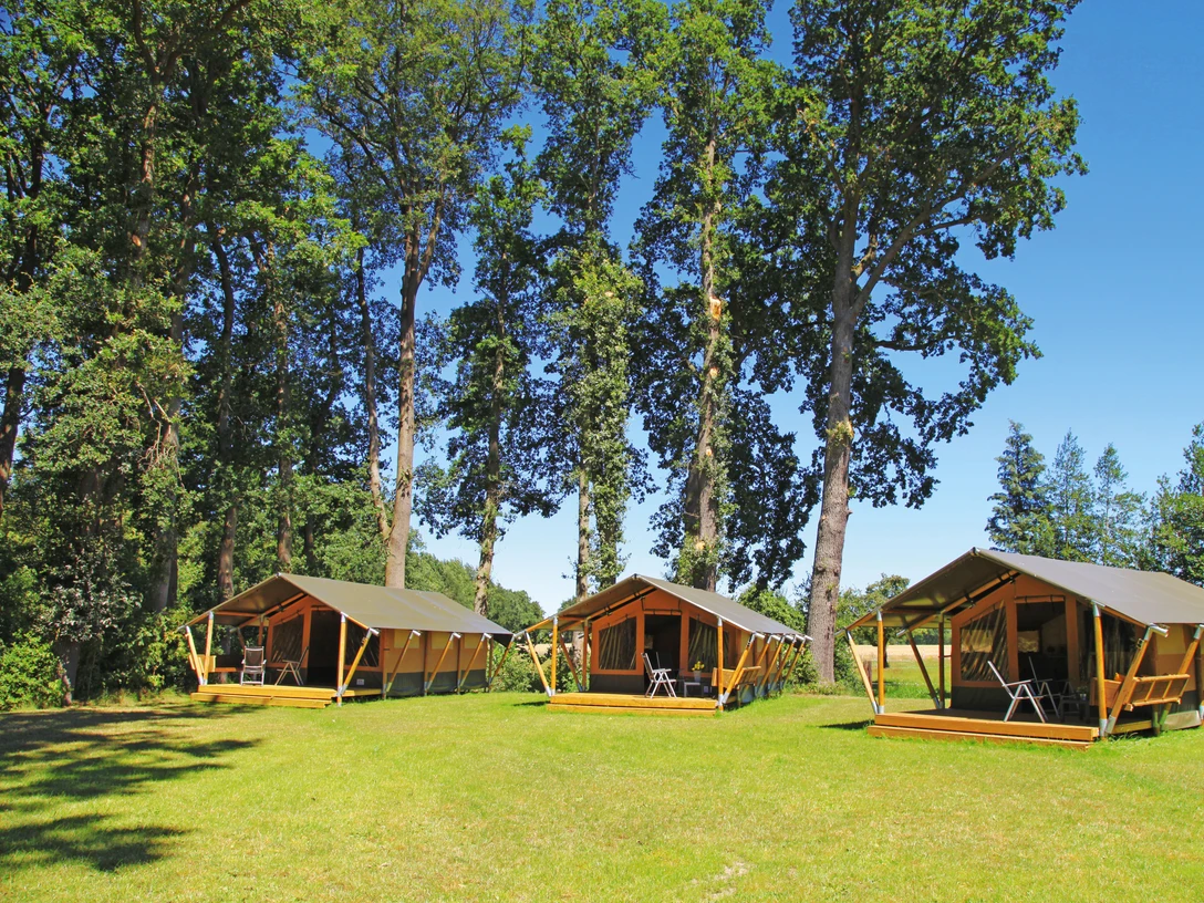 Blick auf die Safari-Zelte