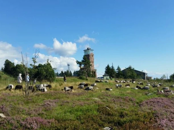 Hornisgrinde copyright Tourist-Info. Seebach