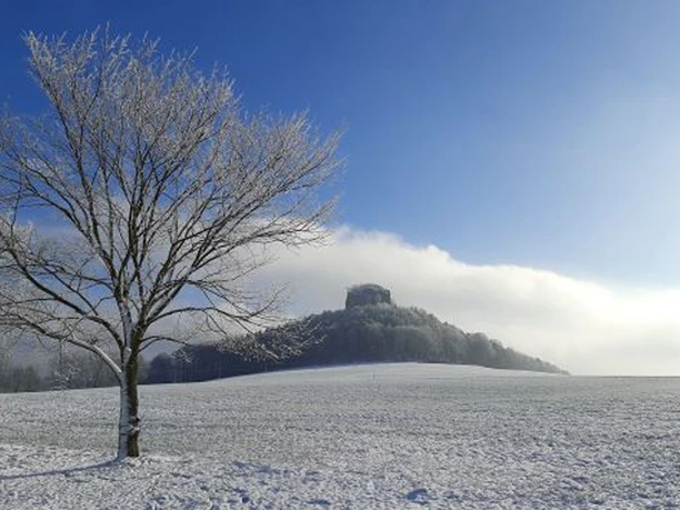 Blick vom Gasthaus zum Zirkelstein Na poli před zalesněným kopcem obklopeným mlhou stojí zasněžený strom, obloha je jasná a modrá.