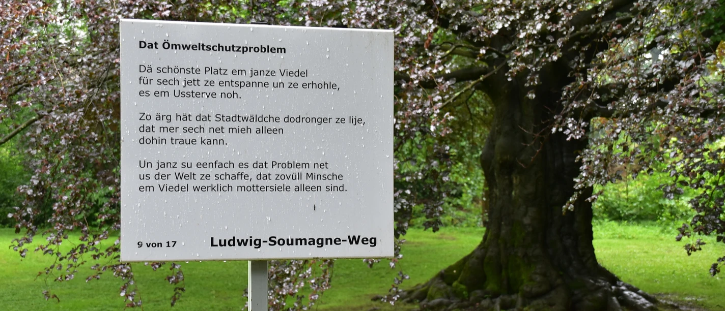 Ludwig-Soumagne-Weg