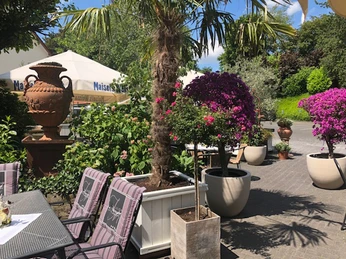 Hotel Appel Krug | Terrasse