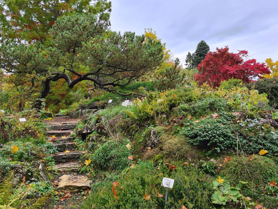 Alter Botanischer Garten Alter Botanischer GartenOld Botanical GardenDen gamle botaniske haveOude botanische tuin