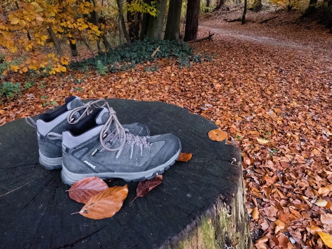 Wanderschuhe stehen auf einem Baumstumpf, umgeben von herbstlichen Blättern im Teutoburger Wald.