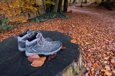 Teutoburger_Wald_Detmold_B.Fromberger_Detailaufnahme_Wandern_CCBYSA (18).jpg Wanderschuhe stehen auf einem Baumstumpf, umgeben von herbstlichen Blättern im Teutoburger Wald.
