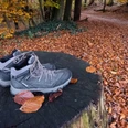 Teutoburger_Wald_Detmold_B.Fromberger_Detailaufnahme_Wandern_CCBYSA (18).jpg Wanderschuhe stehen auf einem Baumstumpf, umgeben von herbstlichen Blättern im Teutoburger Wald.