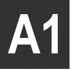 A1 A1