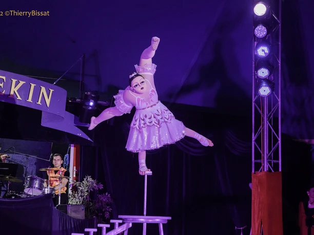 220501-HarlekinLyss©ThierryBissat-902.jpg