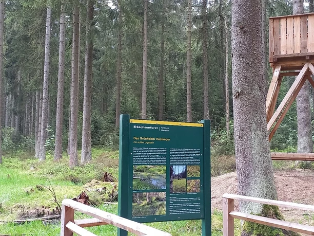 Blick ins Grünheider Hochmoor