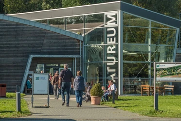 KuestenWelle_FotoHilkNatureum.jpg