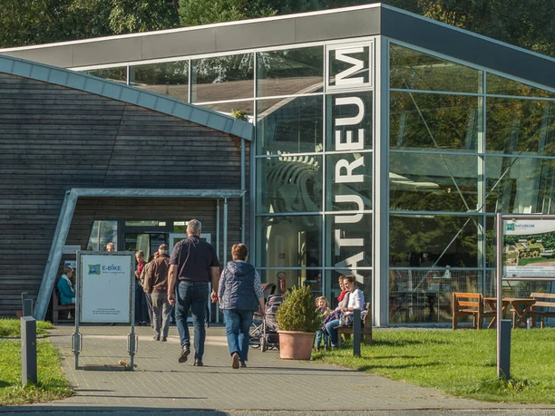 KuestenWelle_FotoHilkNatureum.jpg