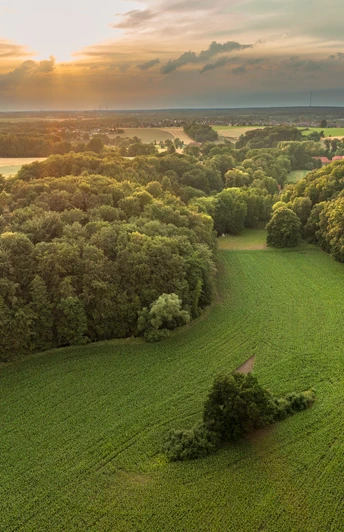 Blick auf das Nettetal Wald und Felder im Sonnenuntergang, mit sanftem Licht am Horizont.