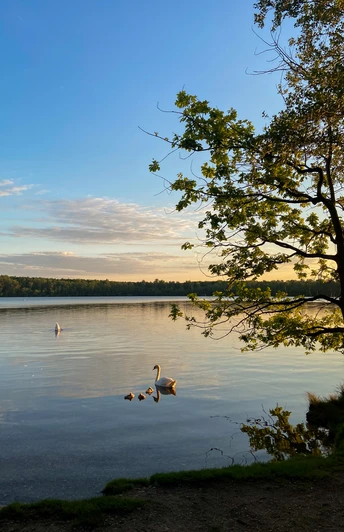 Sonnenuntergang an den Villeseen