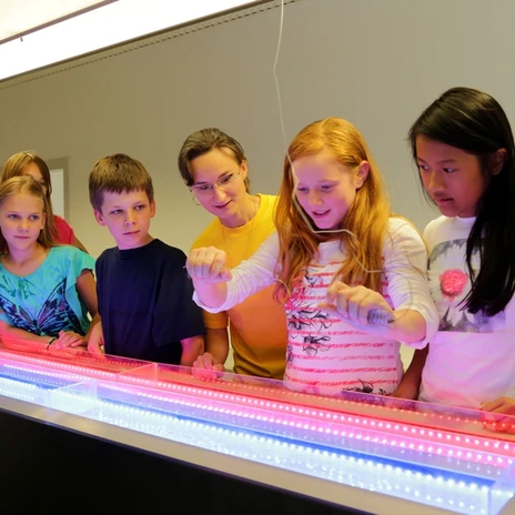 4 děti stojí před experimentem, jedna dívka drží v ruce drát a všichni ostatní se na ni pozorně dívají, Freizeit-Museum-Leipzig-mit-Kindern