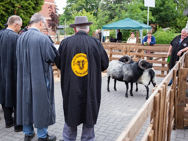 Mueden_Bockauktion_CCBYSA_TL_20190711_web_12.jpg