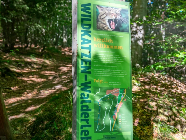 wildkatzen-walderlebnispfad-bad-harzburg