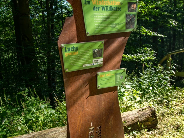 wildkatzen-walderlebnispfad-bad-harzburg
