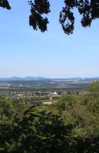 Fernblick auf das Siebengebirge