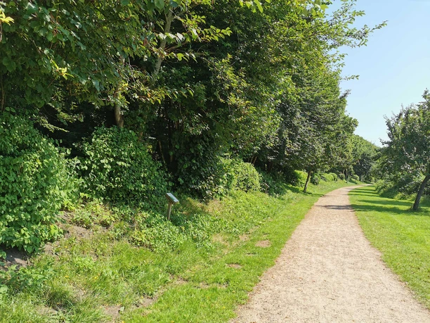 Naturlehrpfad Kirchsteig