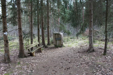 Ein Gedenkstein im Wald mit einer Bank daneben, umgeben von hohen Nadelbäumen, erinnert an ein Atommülllager.