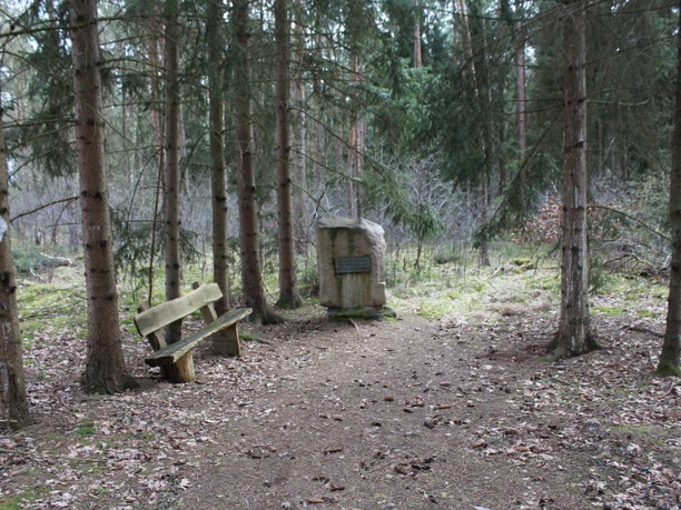 Ein Gedenkstein im Wald mit einer Bank daneben, umgeben von hohen Nadelbäumen, erinnert an ein Atommülllager.