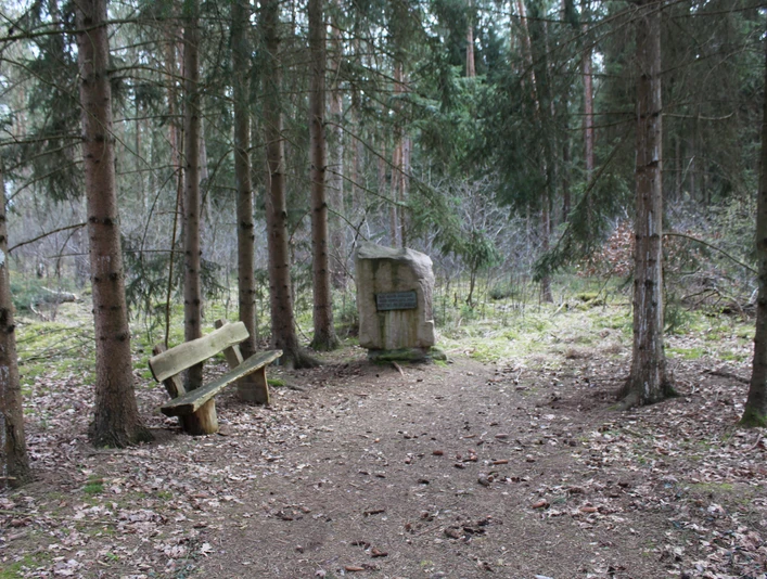 Ein Gedenkstein im Wald mit einer Bank daneben, umgeben von hohen Nadelbäumen, erinnert an ein Atommülllager.