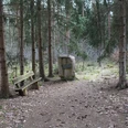 Gedenkstein Atommülllager Ein Gedenkstein im Wald mit einer Bank daneben, umgeben von hohen Nadelbäumen, erinnert an ein Atommülllager.