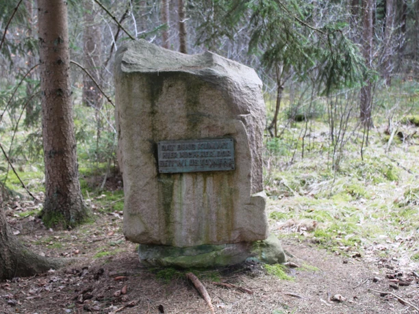 Gedenkstein Atommülllager Gedenkstein umgeben von Wald; Schriftzug auf Platte hebt sich leicht von natürlichem Granit ab.