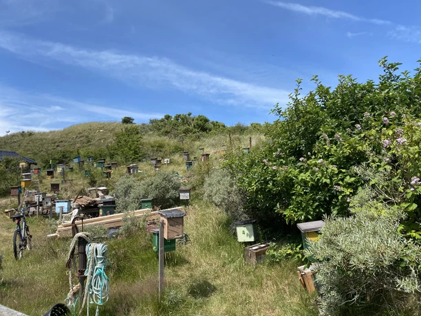 Belegstation-Bienen-Juist.jpg Belegstation-Bienen-Juist