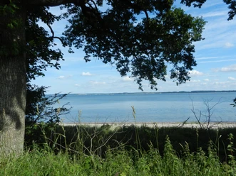 strand-lehmberg-ostseefjordschlei.JPG
