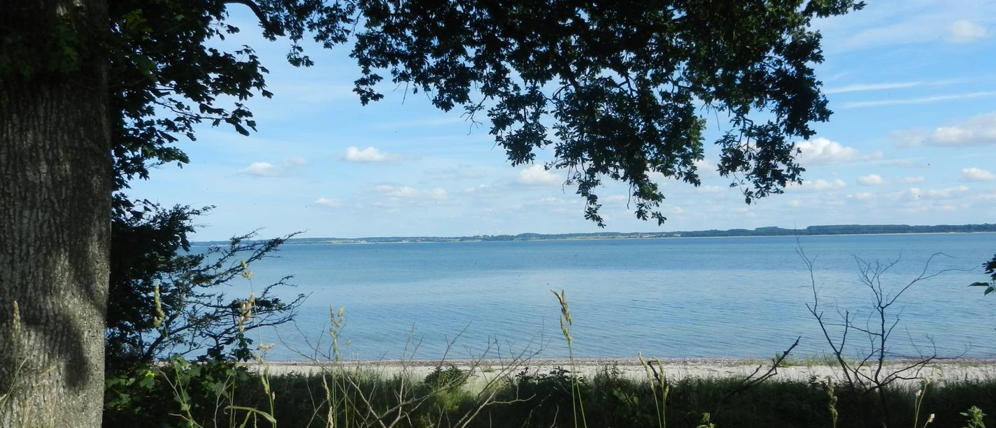 strand-lehmberg-ostseefjordschlei.JPG