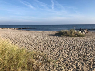 strand-schoenhagen-ostseefjordschlei.JPG