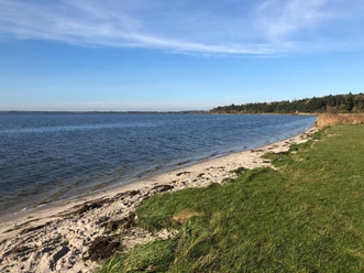 strand-weseby-ostseefjordschlei.JPG